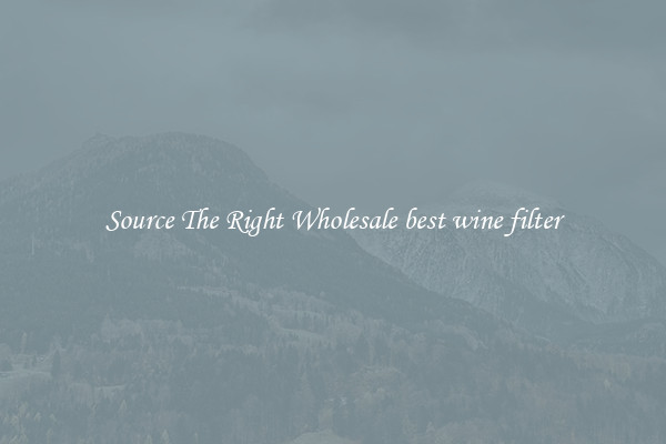 Source The Right Wholesale best wine filter