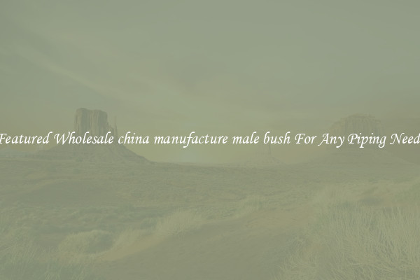 Featured Wholesale china manufacture male bush For Any Piping Needs
