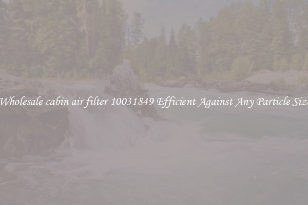 Wholesale cabin air filter 10031849 Efficient Against Any Particle Size