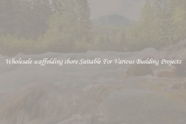 Wholesale scaffolding shore Suitable For Various Building Projects