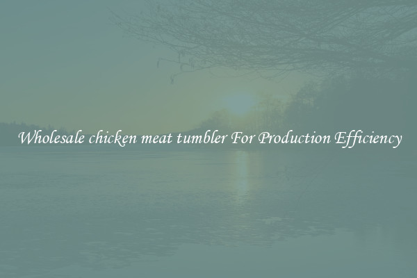 Wholesale chicken meat tumbler For Production Efficiency