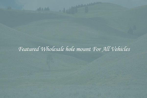 Featured Wholesale hole mount For All Vehicles