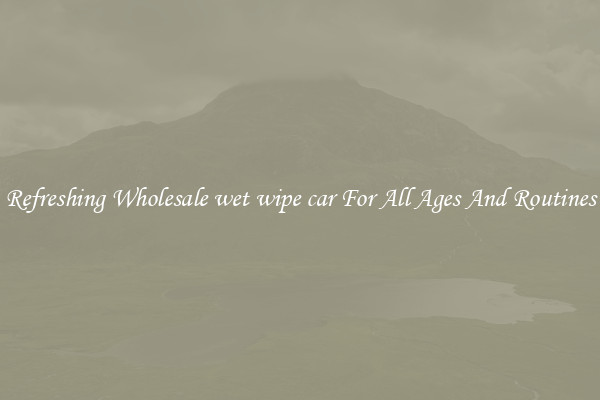 Refreshing Wholesale wet wipe car For All Ages And Routines