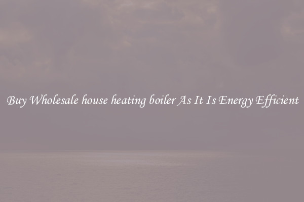 Buy Wholesale house heating boiler As It Is Energy Efficient