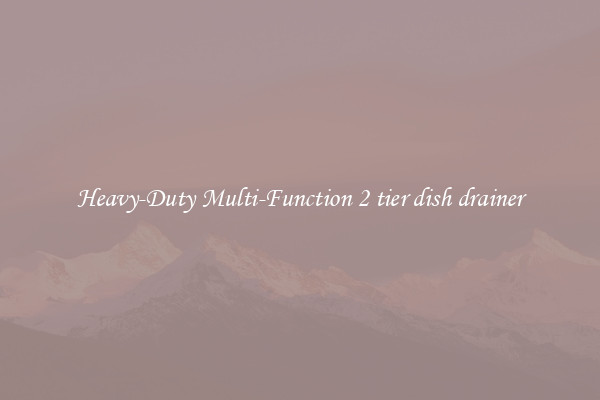 Heavy-Duty Multi-Function 2 tier dish drainer