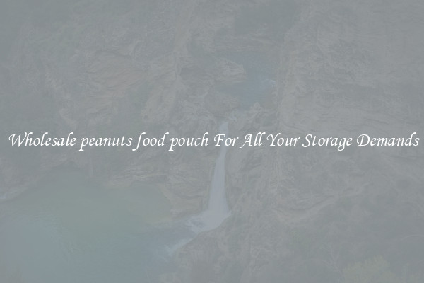 Wholesale peanuts food pouch For All Your Storage Demands