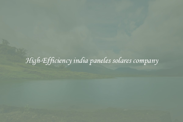 High-Efficiency india paneles solares company