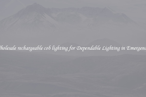 Wholesale rechargeable cob lighting for Dependable Lighting in Emergencies