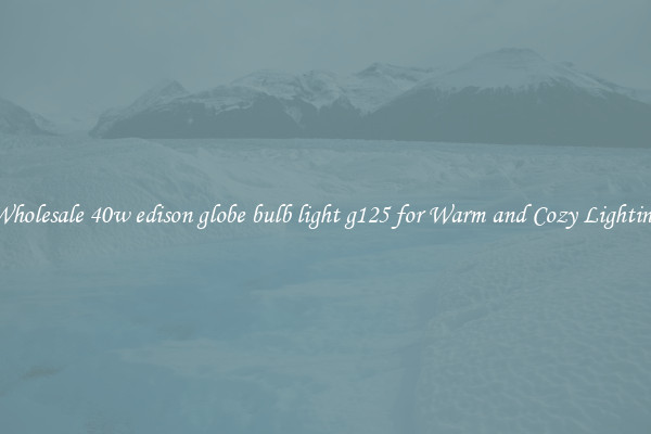 Wholesale 40w edison globe bulb light g125 for Warm and Cozy Lighting