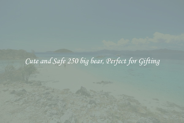 Cute and Safe 250 big bear, Perfect for Gifting