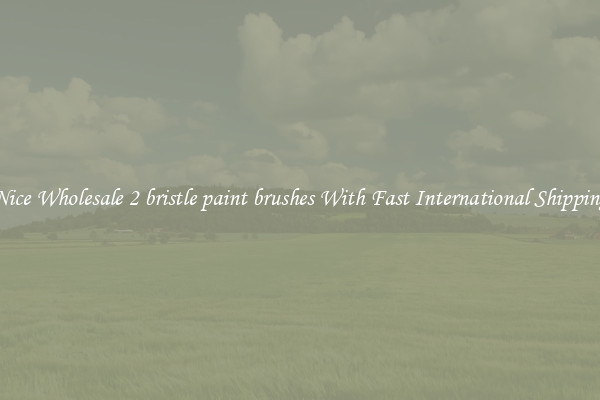 Nice Wholesale 2 bristle paint brushes With Fast International Shipping