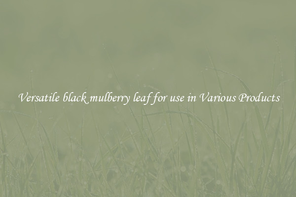Versatile black mulberry leaf for use in Various Products