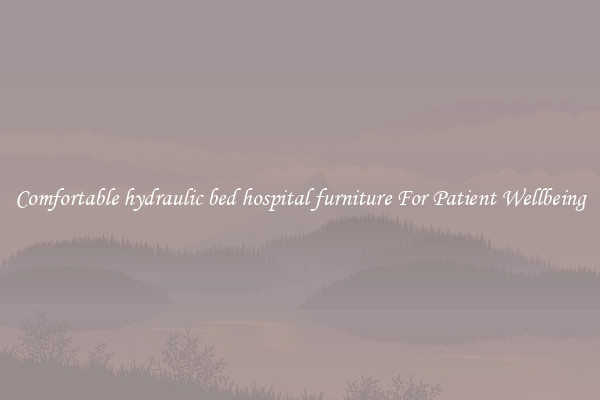 Comfortable hydraulic bed hospital furniture For Patient Wellbeing